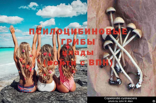 дурь Бронницы