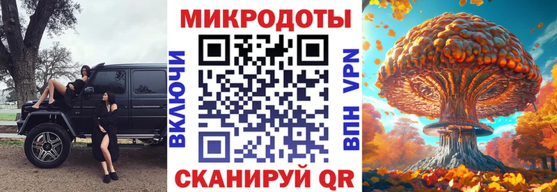 Галлюциногенные грибы Psilocybe  купить наркотики сайты  мега   Дмитров 